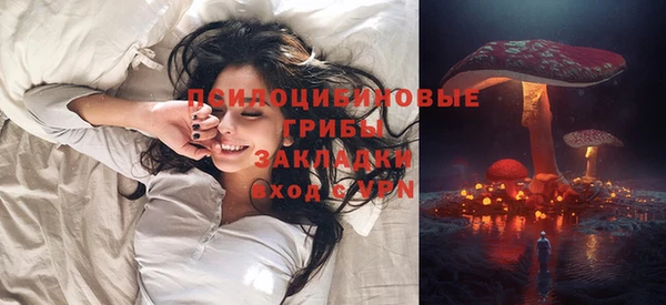 PSILOCYBIN Бородино